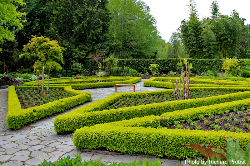 heronswood garden