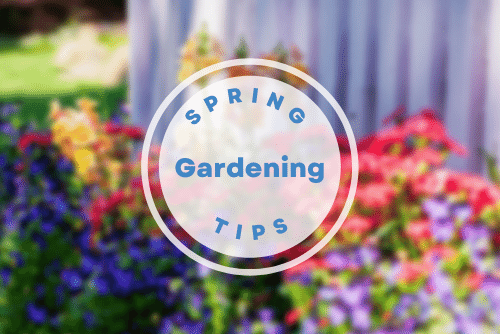 spring-gardening-tips